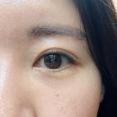 뷰티 in 독 | 발산역속눈썹펌 아이원뷰티 영양단백질 펌 후기