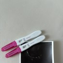 애플산부인과 동탄점 | [임신기록] 임신5주차증상 후기 아기집 난황확인 동탄산부인과