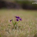 무주읍212 네이버블로그
