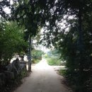 부림낚시터(부림저수지) | 33th-낚시터가 있는 양평 부림오토캠핑장(9/26-28)
