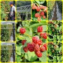 사진만들기 - 창원시 마산회원구 315대로 788 | 사진만들기