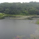 선행저수지 이미지