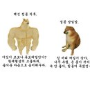 제이데이 이미지