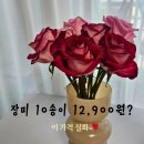 꼬므# | 꼬므플로밍 장미 랜덤박스 내돈내산 후기 🌹 생화 택배 5+5 구성 솔직리뷰