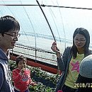 지누농장 | 무공해딸기농장 후기(호민네,지누네,주눅네) 2/16일 토욜. 담에 다 같이 갑시다.