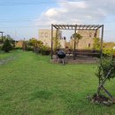 나른한 당근 이미지