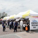 모란헤어아트