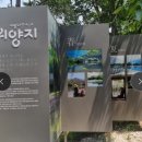 설레임여행사 네이버블로그