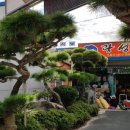 광성식당 네이버블로그