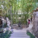 (주)모모스 이미지