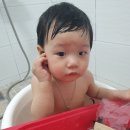 리틀램 스테이 휴양펜션