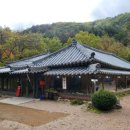 평창송어회 이미지