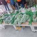 국가대표야채과일생선