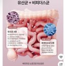 SIBO 환자의 유산균 후기