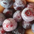 소미밥상 이미지