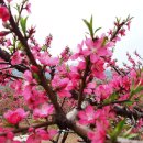 아름다운 꿈 이미지