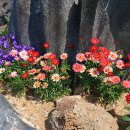 황룡강변2 이미지