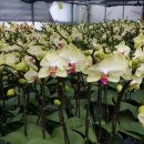 한아름농장 이미지