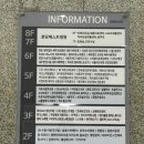 엠지에프두피탈모전문센터 분당점