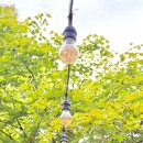 송림사우나 | 경남 하동 핀란드사우나 계곡 펜션 아름다운 산골 황토방 물멍 불멍 숲멍 체험