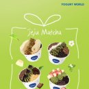 제주코 | 요거트처돌이 추천 요거트월드 저당 제주말차 말차시리즈 후기 (생초코말차월드 먹어봄)