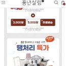 돼랑코랑