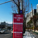 그레이스펫그루밍스튜디오 | 2025 제35회 궁디팡팡 캣페스타 서울 SETEC :: 부산 다묘가정 집사 관람후기 (수서역 셔틀버스/떼샷/택배)