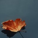 스카이타워 이미지