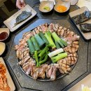 타조노래연습장 | 행복에 절여진 4월이였다..