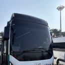 2025년 3월 23일 여행스케치로 광양 매화 / 구례 산수유 보고온 후기