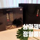 정일품홍삼 | 마켓컬리 추천 부모님 선물 마음을 전할땐 상아제약 정일품환