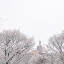 210112 | [210111~210112] 계획대로 되지 않는 나날