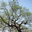 공북낚시터 이미지