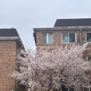 추도령남원추어탕 | 수원 맛집 큰맛남원추어탕 후기