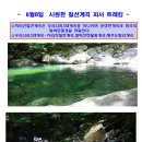 8월8일 여름트레킹의 진수 3대계곡의 으뜸인 칠선계곡 피서트레킹 이미지