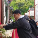 한스비건