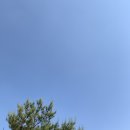 은화수 식당 당감점 | 거슬러 올라가는 2019 중반기