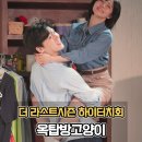 소극장 연극바보들 | 연극 옥탑방고양이 더 라스트시즌 배우 하이터치회 후기