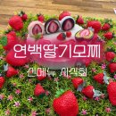 홍대에서 먼저 만나본 연백딸기모찌 신메뉴 시식회 후기🍓