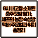 이평농장 | 6시 내고향 소개된 충주 햇밤 명가, 셰프의 농장 숙성밤 택배 주문법과 위치 총정리