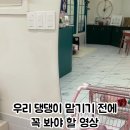 쁘띠몽펫샵 이미지