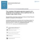 광령귤나무 이미지