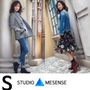 MESENSE 이미지