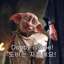 타랑 | 도비 이즈 프리