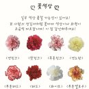 소소절절꽃이야기 이미지