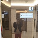 슬기로운동물병원 | 운정 와이즈 조리원 슬기로운(?) 산모생활 - 13박 14일