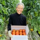 양덕수농장 이미지