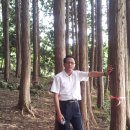 석전농장 이미지