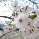 장터풍경 이미지