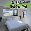 강원도 고성 감성숙소 추천 신상 펜션 가성비 춘성